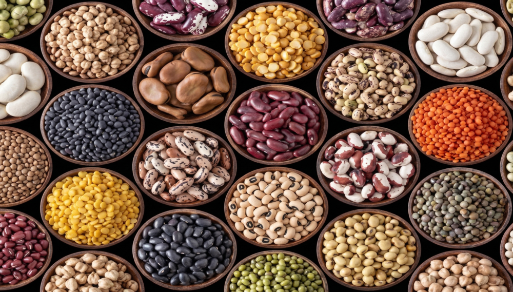 Oilseeds and Soybeans